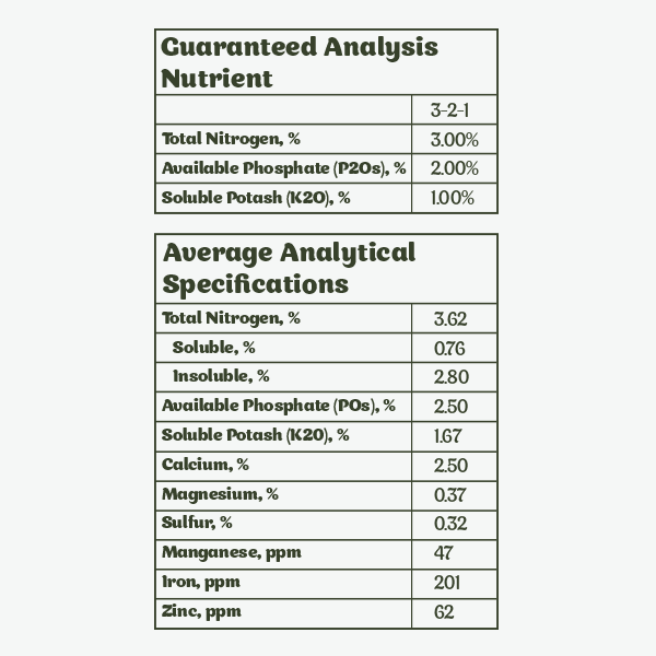 Pure Gold Frass - Image 2