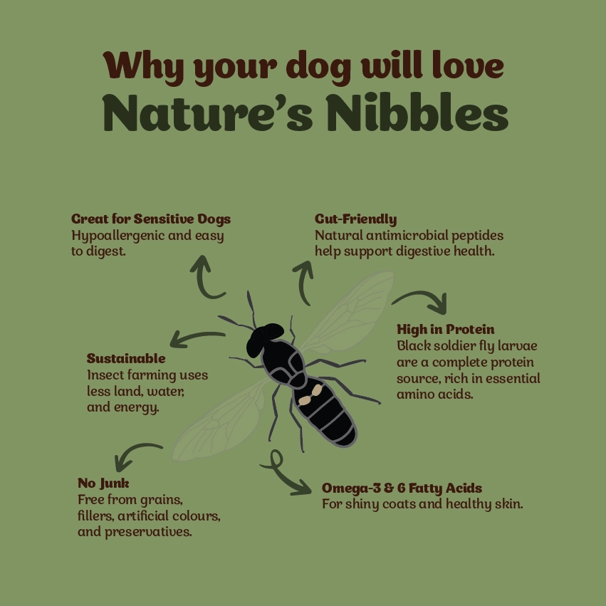 Pure Gold Natures Nibbles - Image 2